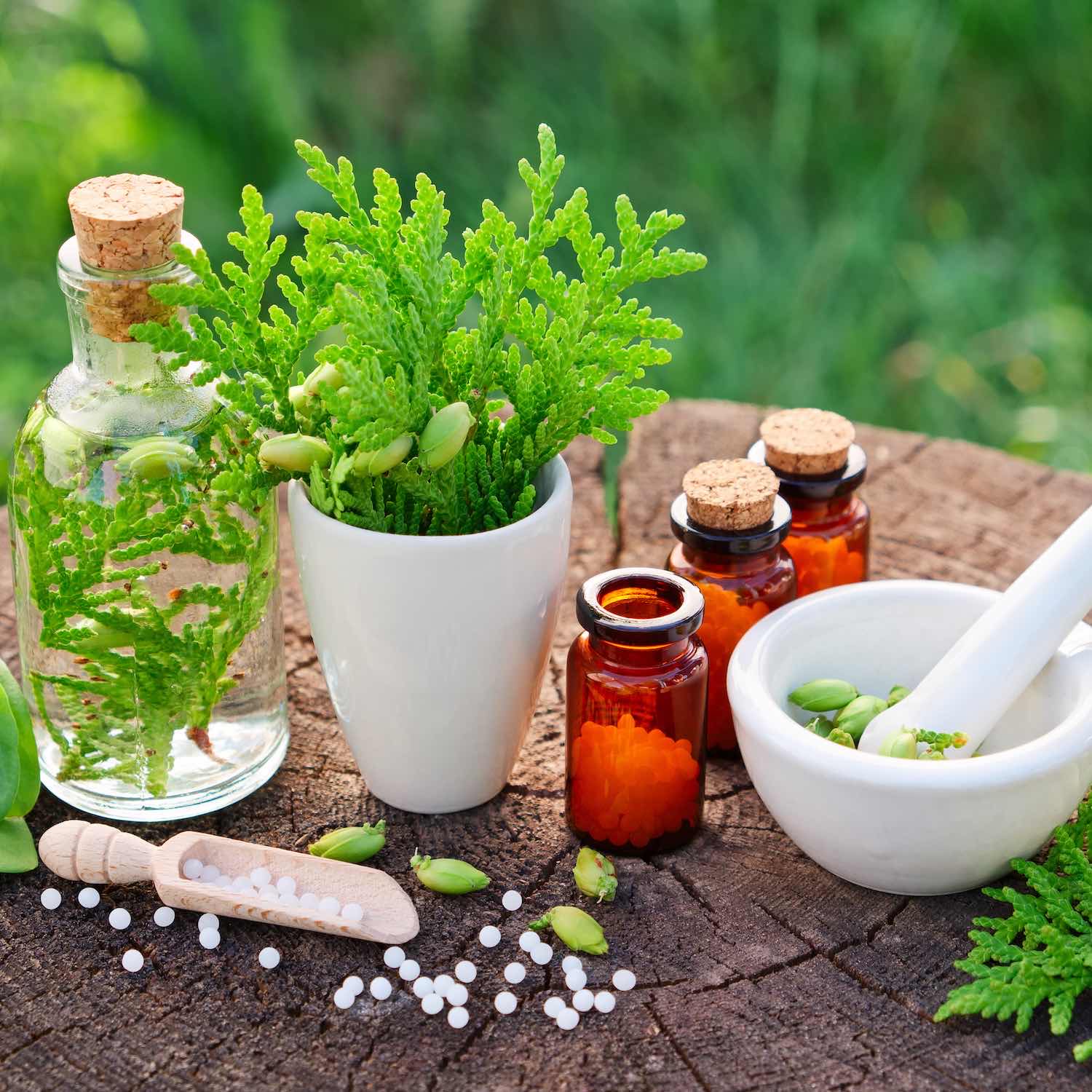 Homéopathie 6 Homéopathie, Pharmacie Assier Gemelli, Bergerac